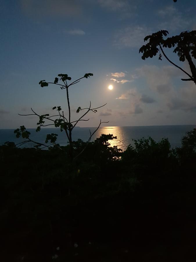 Punta Marenco Lodge Drake Bay Exterior photo